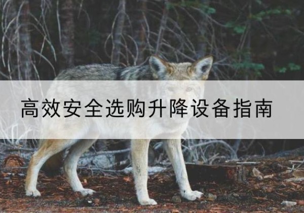 潜山升降货梯厂家推荐-*安全选购升降设备指南