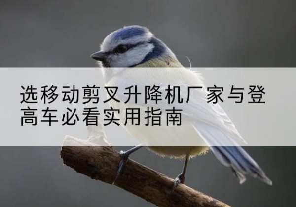 潜山电动升降机厂家-选移动剪叉升降机厂家与登高车必看实用指南