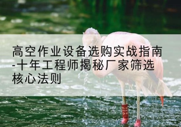潜山剪叉式升降机厂家-高空作业设备选购实战指南-十年工程师揭秘厂家筛选核心法则